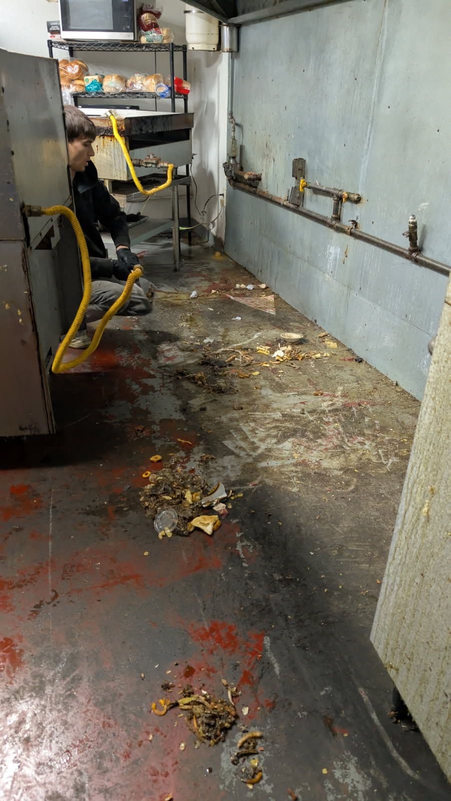 Gallery photos for Commercial Kitchen Deep Clean: Image #2